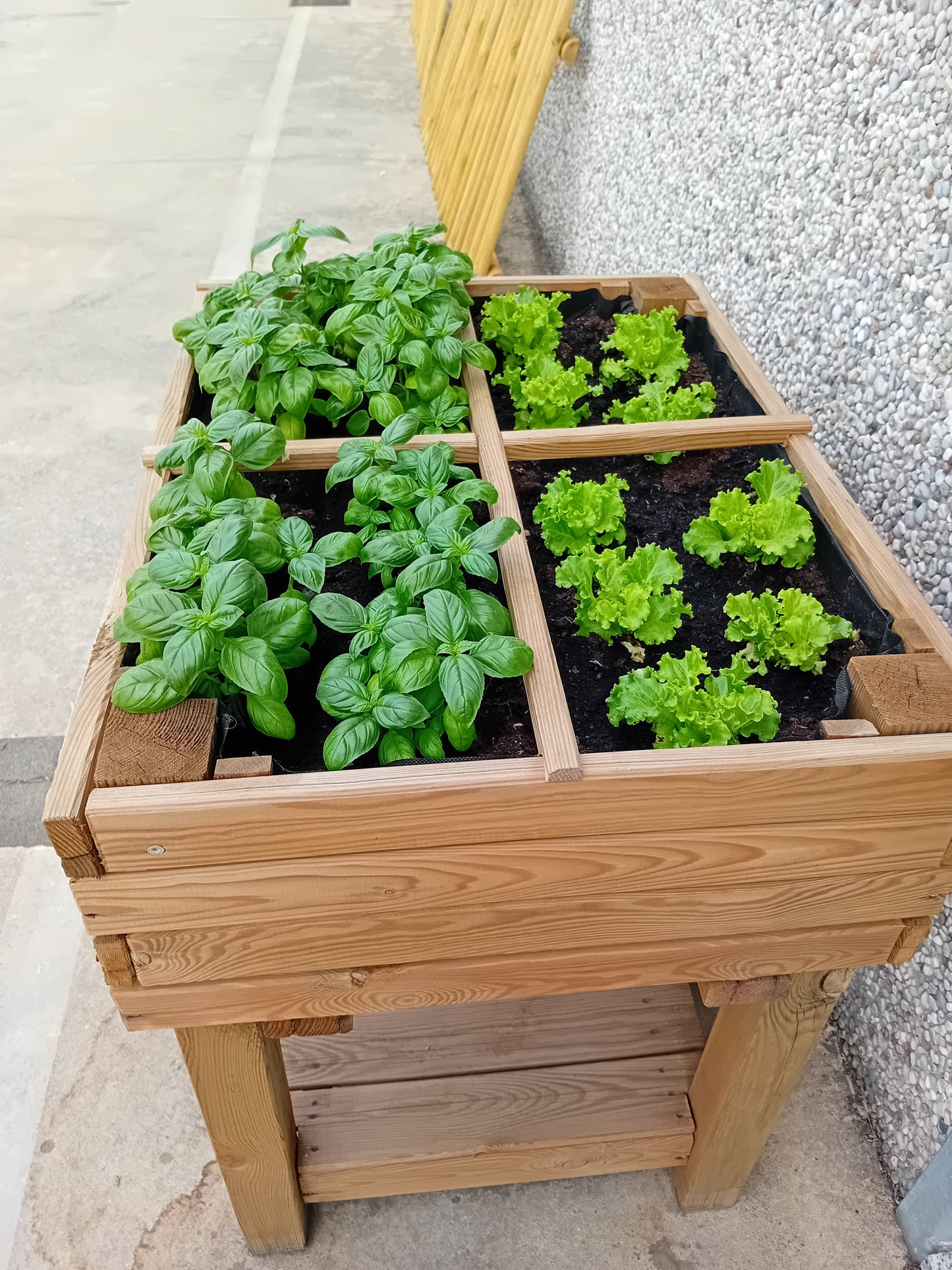 ORTO CON SUPPORTO IN LEGNO DI PINO IMPREGNATO