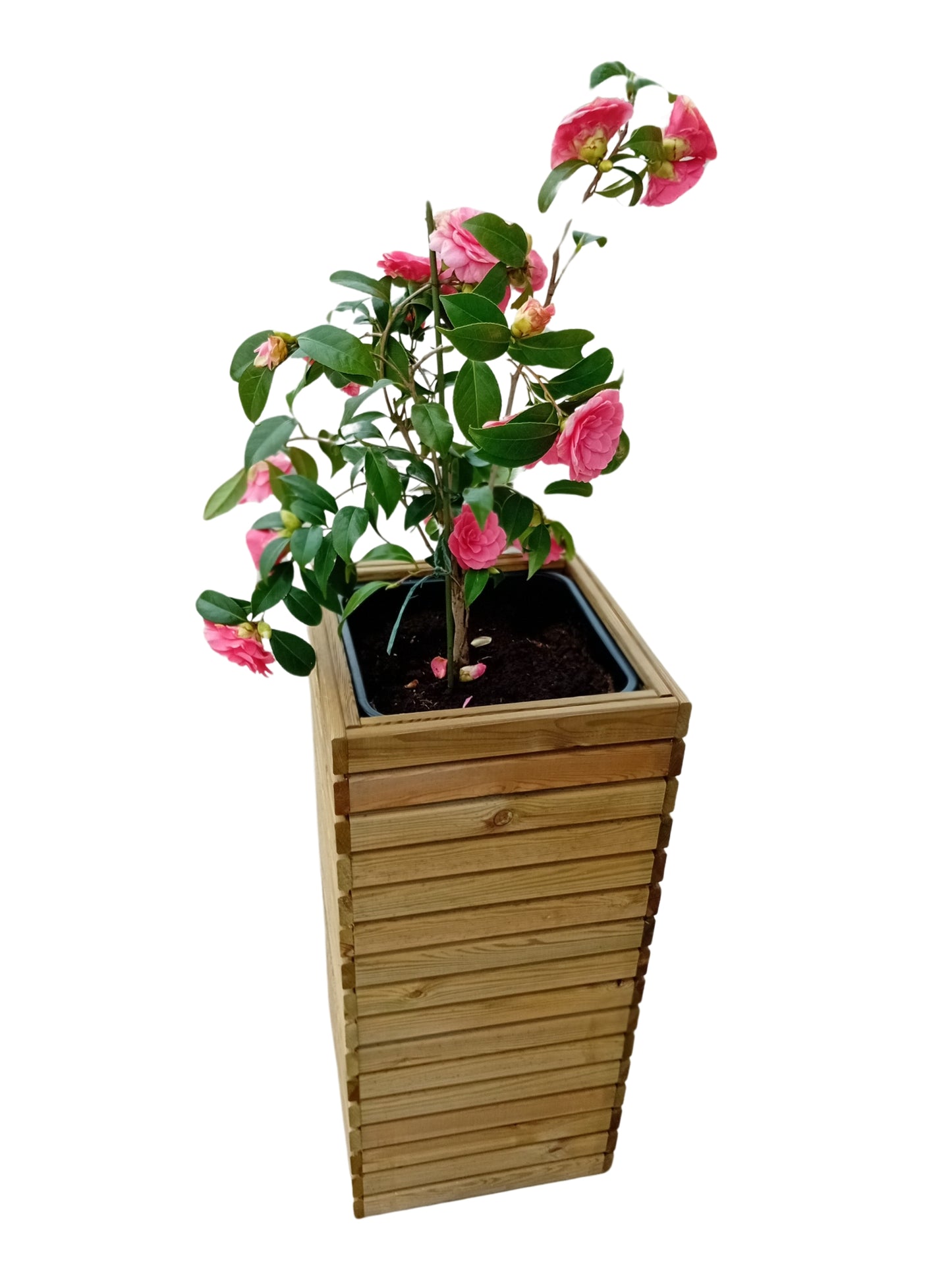FIORIERA TOTEM IN LEGNO DI PINO IMPREGNATO CON INSERTO DI PLASTICA RICICLATA