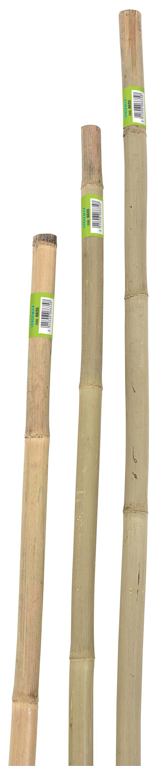 CANNA DI BAMBOO H 210 CM (20PZ)