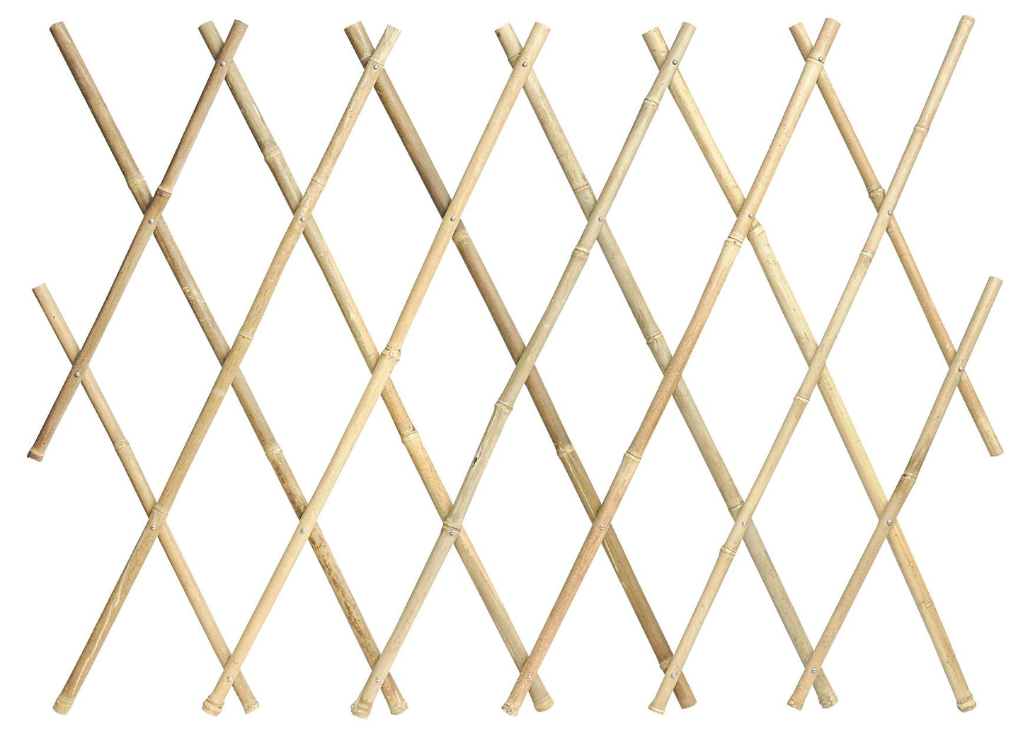 TRALICCIO IN BAMBOO
