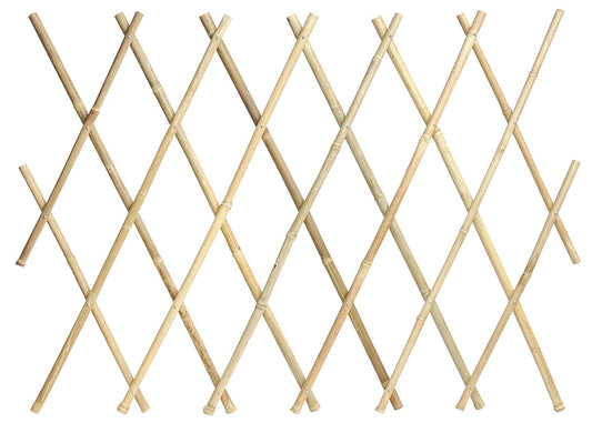 TRALICCIO IN BAMBOO